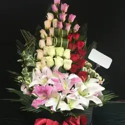 Box Flower