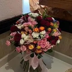 Baby Rose Mix