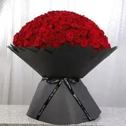 500 Red Roses
