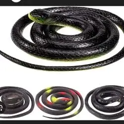 Fake Snake