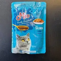 mio 100ge