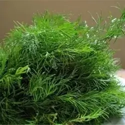 Dill