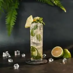Lychee Mojito