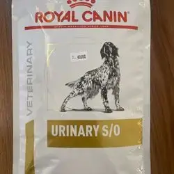 Urinary s/o
