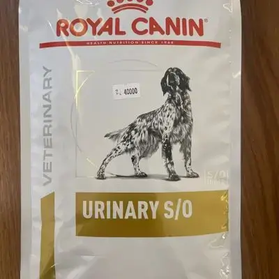 Urinary s/o