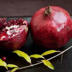 Egyptian Pomegranate 