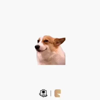 27