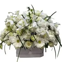 Orchid And White Flower Box
