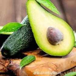 Egyptian Avocado