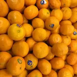 Egyptian Tangerine