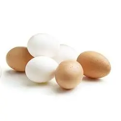 egg kurdish