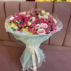 Baby Rose