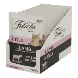 Felicia Kitten Lamb  12X