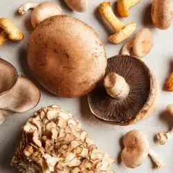Mountain Mushroom