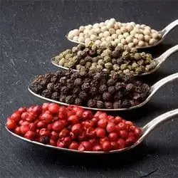 4 Types Of Colored Peppers