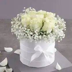 Box Of White Ros & Jbsofeelia