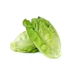 Local Lettuce