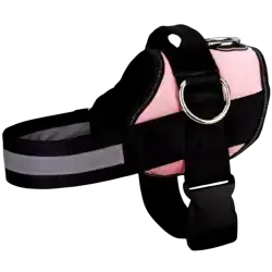 Harness M