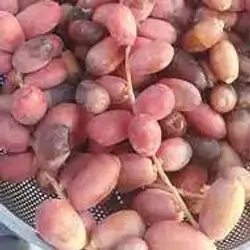 Red Dates
