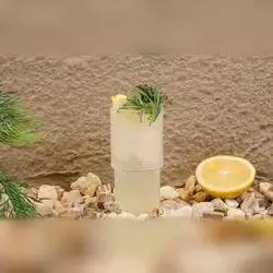 Classic Mojito