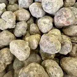 Big  Black Truffle
