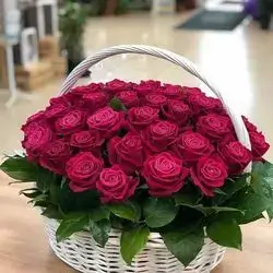 Basket Flower