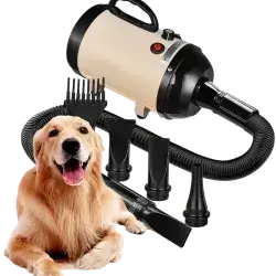 Hair Dryer