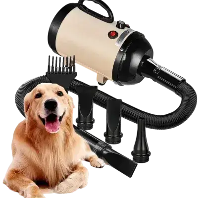 Hair Dryer