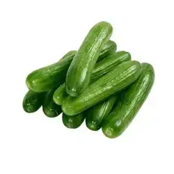 Cucumber