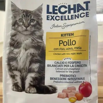 Lechat excellence kitten pollo cat