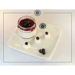 Panna Cotta Pudding