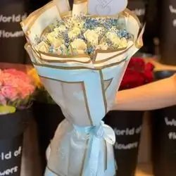 گولى سروشتى
