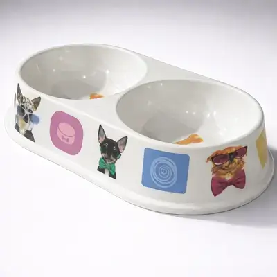 Dual Plastic Bowl