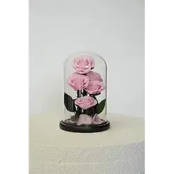6 Natural Flowers