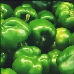 Pepper