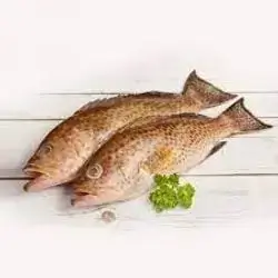 Basra Fresh Hamour, 1kg