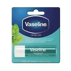 vaseline lip mint