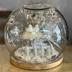 شووشه ى زينه قياس گه وره
