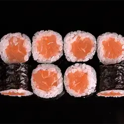 Salmon