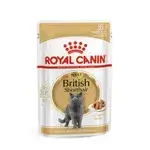 British Shorthair 85g