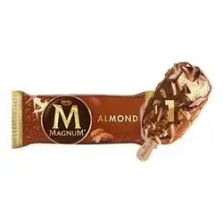 Magnum Almond Ice Cream 100Ml