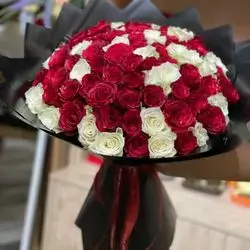چەپکە گوڵی ڕۆزی سوور و سپی