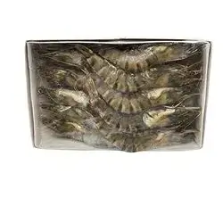 Ocean Shrimp U15 H/o 1kg