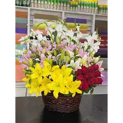 Basket Flower