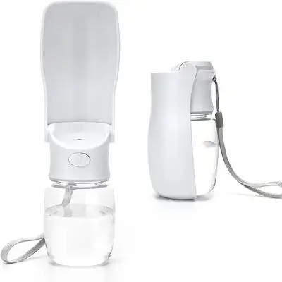 Water Bottle 550ml
