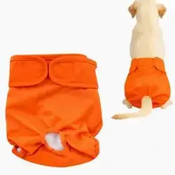 Dog Diaper L