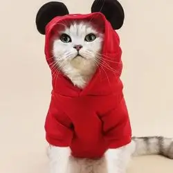 Hoodie M