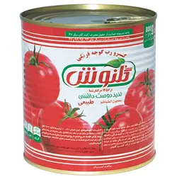 Gulnosh Tomato Paste Can