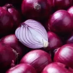 Purple Onion