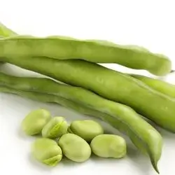 Beans